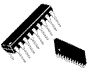 wpe1D.gif (1682 bytes)